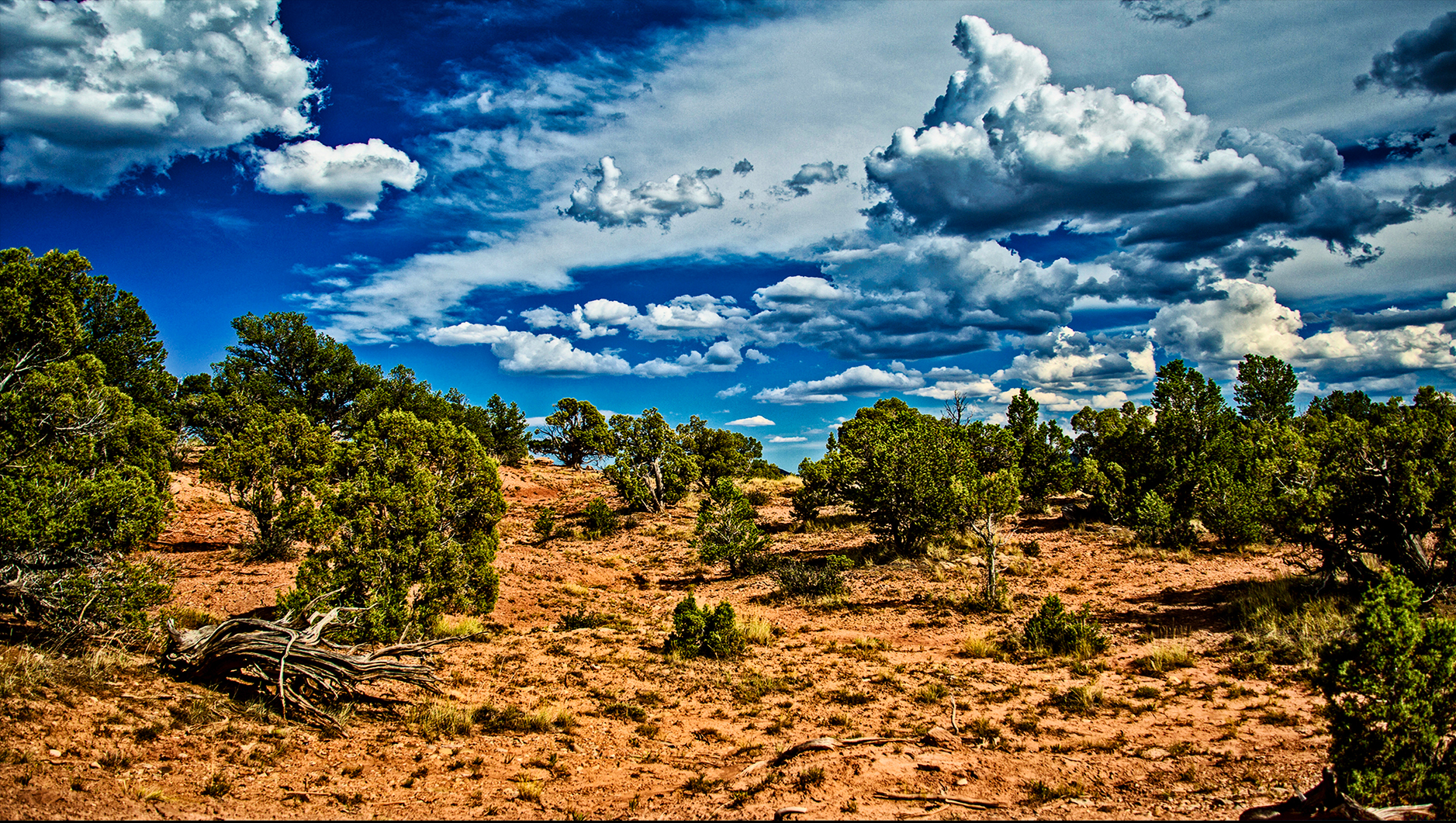 The Wild Wild West